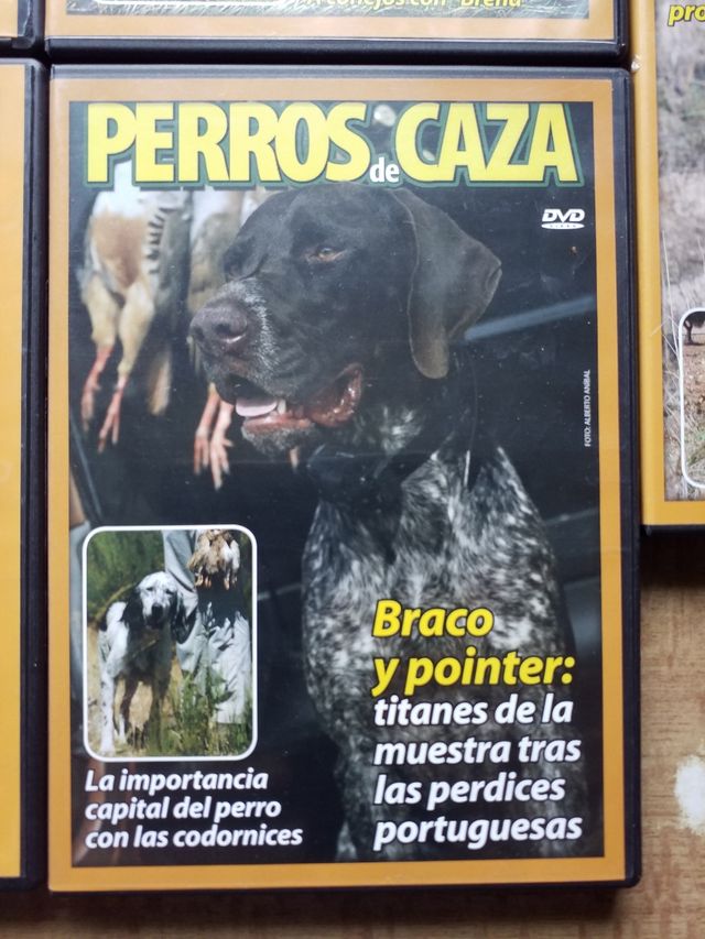 DVDs Perros de Caza (5)