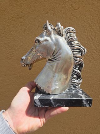 Busto cabeza caballo
