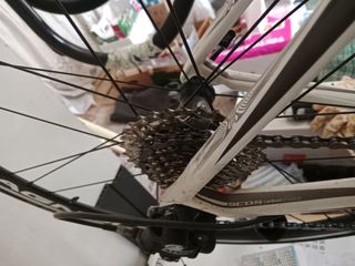 Bicicleta Carretera Scott Carbono