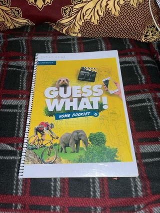 libros de 6 de primaria santillana en buen estado.