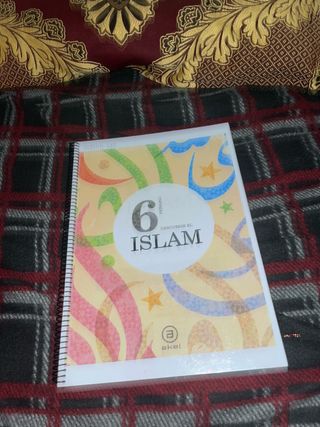 libros de 6 de primaria santillana en buen estado.