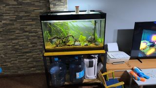 Acuario 250l completo