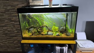 Acuario 250l completo