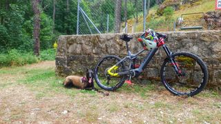 OPORTUNIDAD!!! Haibike ebike Nduro 7 - Bicicleta e