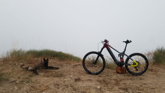 OPORTUNIDAD!!! Haibike ebike Nduro 7 - Bicicleta e