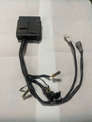 Centralina Yamaha YZ - Ricambi Moto