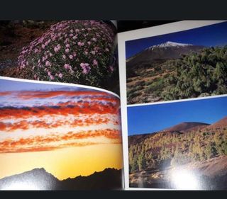 El Teide: Parque Nacional