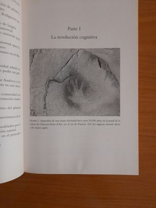 Sapiens. De animales a dioses / Sapiens: A Brie...