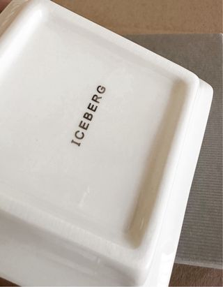 Iceberg piatto svuotatasche