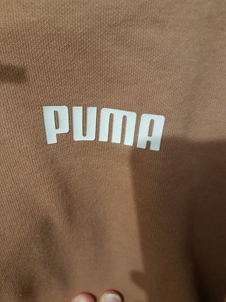 Sudadera Puma beige con capucha