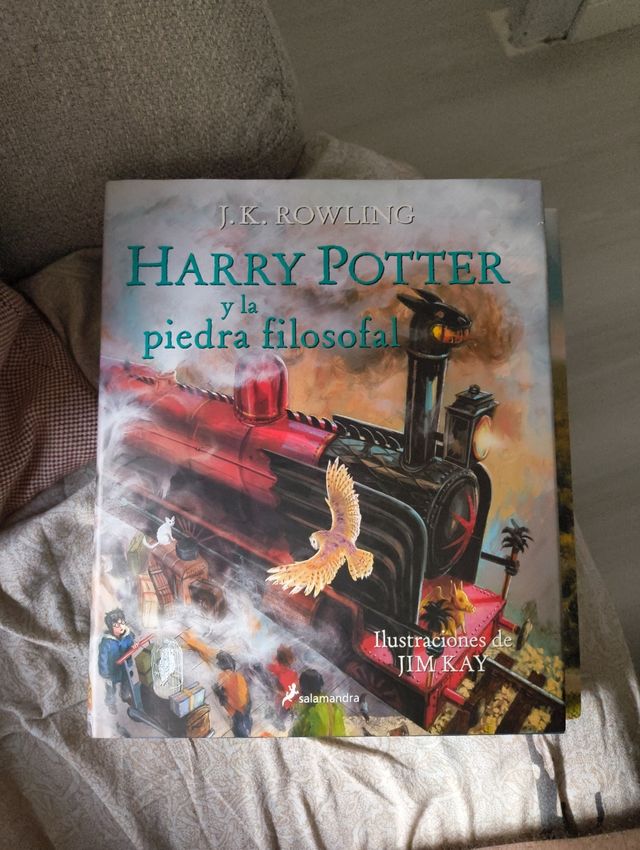 Harry Potter y la piedra filosofal (Harry Potte...