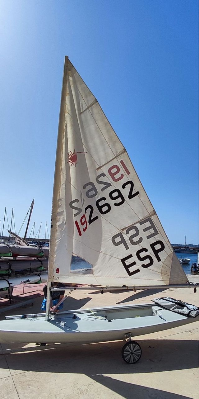 Laser Radial Vela / Ilca 6