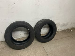 2 Ruedas 225/55R16 FRun FSR802