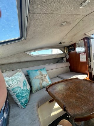 barco Sealine 195 cabin con remolque