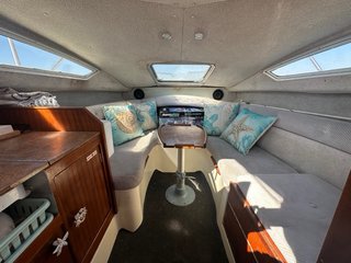 barco Sealine 195 cabin con remolque