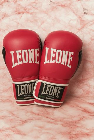 Guantoni Leone Boxe - Rosa