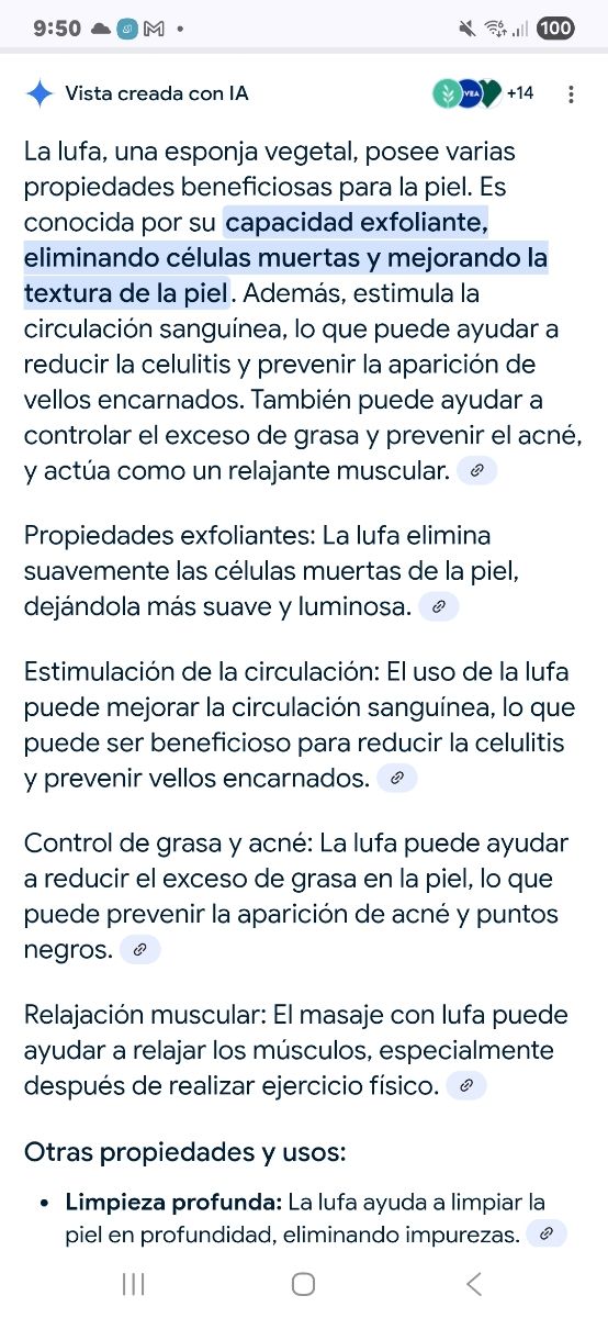 2 Esponjas Lufa de Sisal