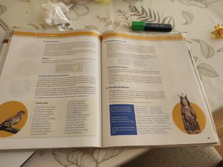 LENGUA CASTELLANA Y LITERATURA SERIE ABIERTA 3 ESO