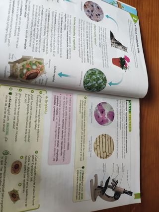 Ciencias de la naturaleza. 6 Primaria. Savia. C...