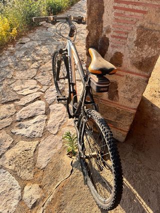 Bicicleta Orbea Aluminio MTB