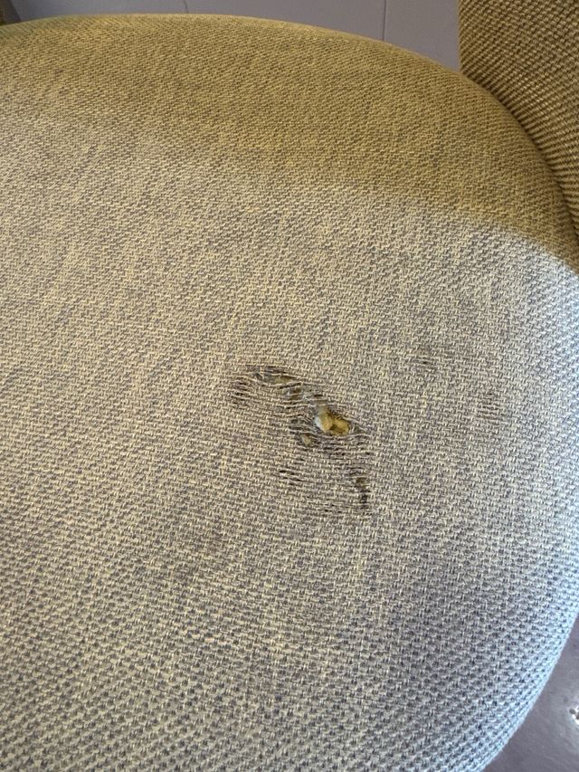 Silla comedor Kave Home Mahalia mostaza