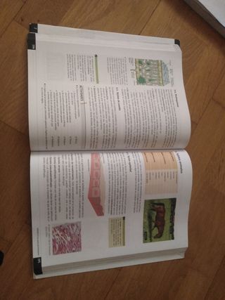 BIOLOGÍA Y GEOLOGÍA
