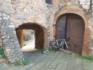 Bicicleta Carretera Focus Izalco Pro