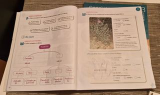 CONEIXEMENT DEL MEDI 3 PRIMARIA CONSTRUINT MONS