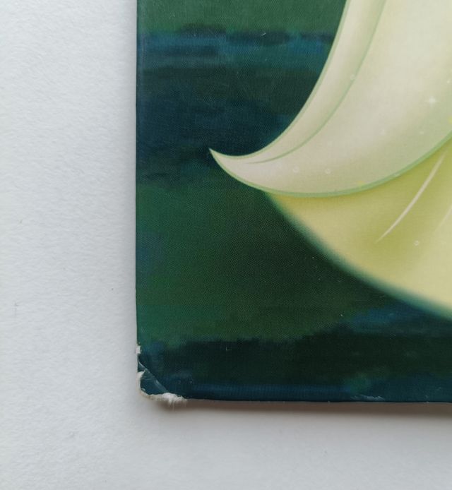 Carpeta Tiana Princesa Disney