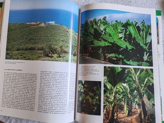 Barcelona, la ciudad de Gaudí: La ciudad de Gaudí