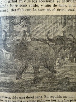 LAS MIL Y UNA NOCHE EDICIÓN PARA NIÑOS SOPENA 1934