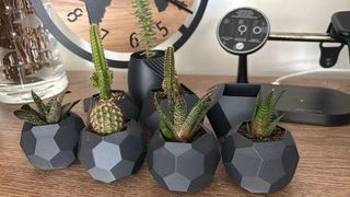 Vasi Cactus realizzati con stampante 3D
