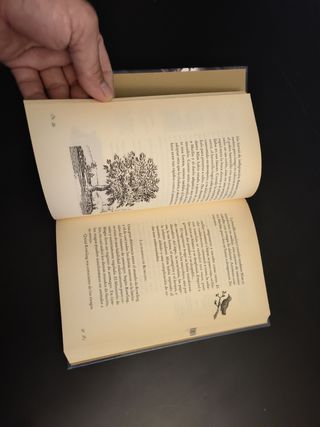 MUNDOS MAGICOS DE HARRY POTTER