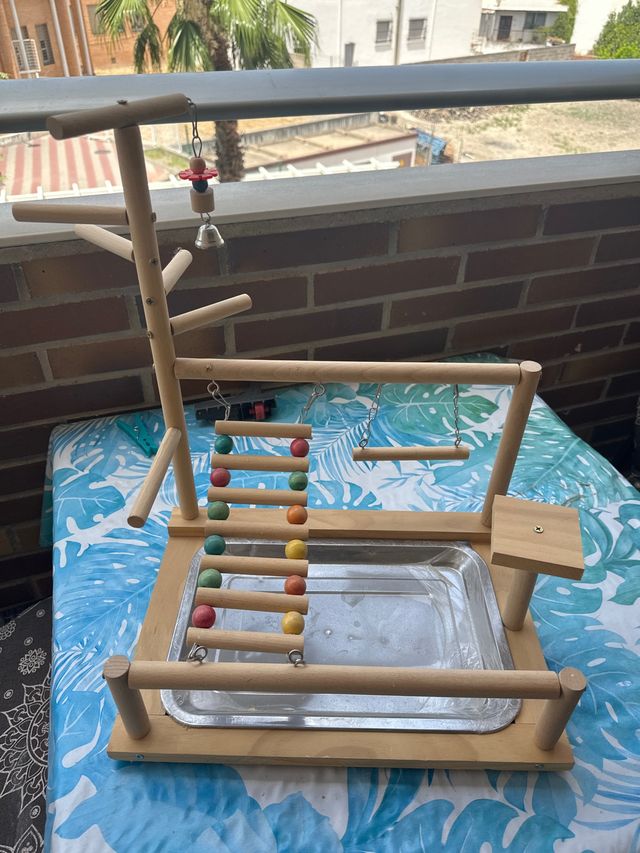 Parque juegos pájaros agapornis