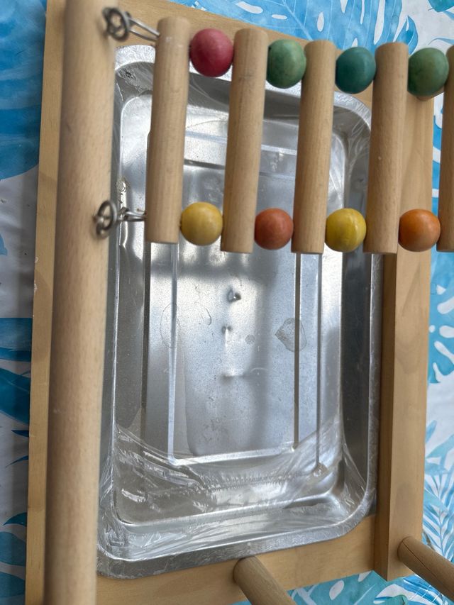 Parque juegos pájaros agapornis