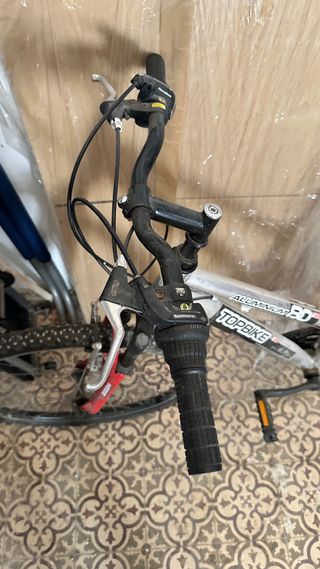 Bicicleta Topbike mujer