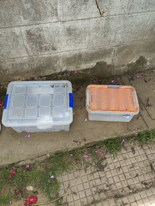 Bebederos y comederos aves