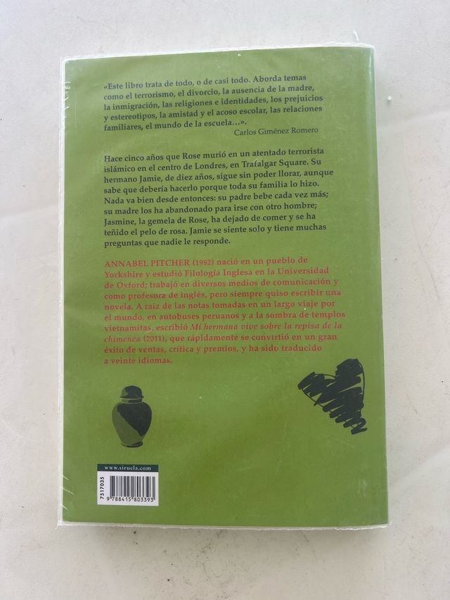 Mi hermana vive sobre la repisa de la chimenea