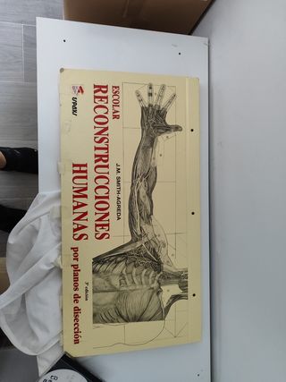 Belorcio
Atlas de anatomía humana