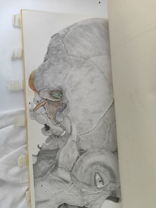 Belorcio
Atlas de anatomía humana