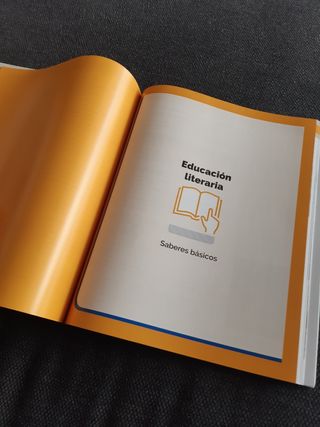 Libro lengua castellana de 1 ESO serie abierta