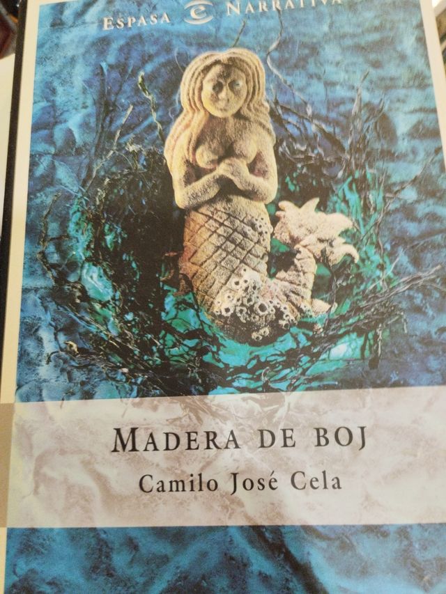 Madera de Boj (Espasa Narrativa) (Spanish Edition)