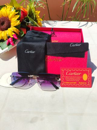 Occhiali da sole Cartier Piccadilly OW3033