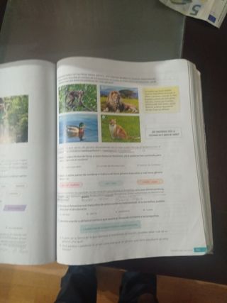 Lengua Castellana y Literatura. 1 Secundaria. R...