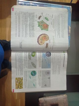 Biología y Geología. 1 Secundaria. Revuela