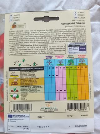 4 Buste Semi Pomodoro Ciliegino