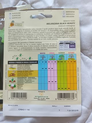 Semi Melanzana Tonda - 4 buste
