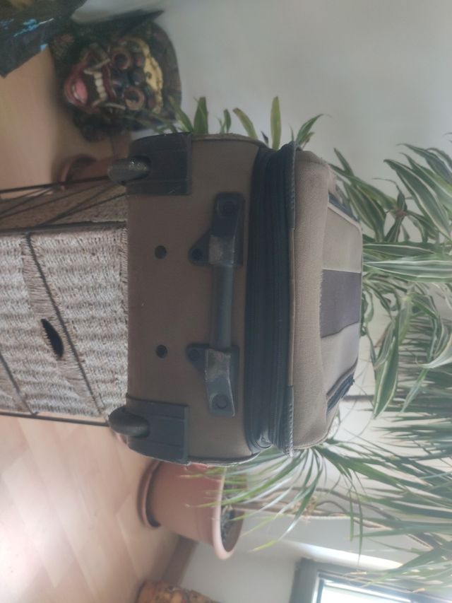 Valigia trolley da cabina Wenger Swiss Gear, trolley svizzero