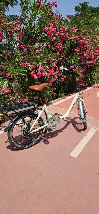 Bicicleta eléctrica plegable