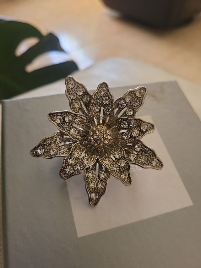 Broche novia plata brillante